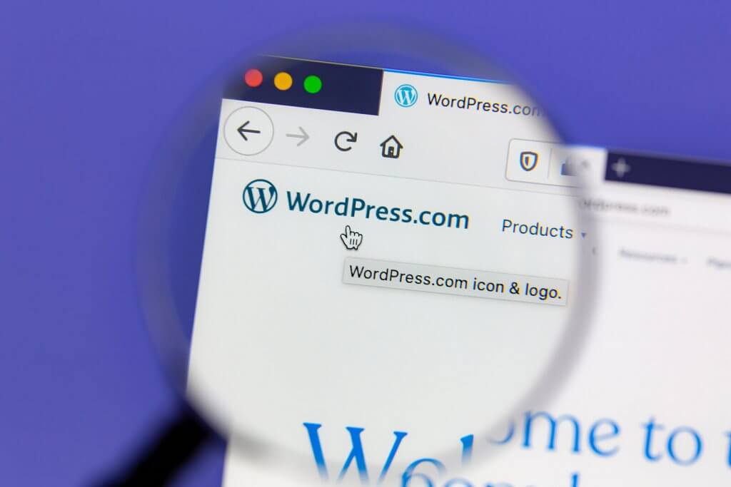 8 ways to use WordPress to improve Google Ads PPC advertising