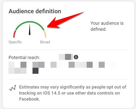 Facebook Audience Size